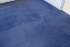 Bedroom carpet after cleaning with HeartFelt's Carpet Cleaning System