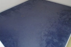Bedroom carpet before cleaning