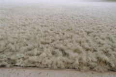The result after the HeartFelt Carpet Cleaning System