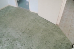 The result after the HeartFelt's Carpet Cleaning System