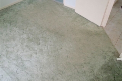 This carpet was cleaned using Steam Cleaning just 2 days ago