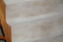 Carpet on stairs before cleaning