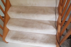 Carpet on stairs before cleaning