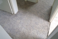 Hallway carpet after cleaning with HeartFelt's Carpet Cleaning System