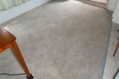 Carpet after cleaning with HeartFelt's Carpet Cleaning System