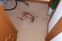 Spill/Spot before cleaning (chocolate milk)